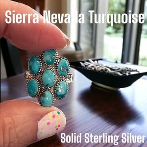 SS#22 Sierra Nevada Turquoise Floral Ring In Solid Sterling Silver Sz 6.25 NWOT